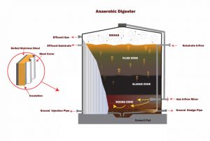 anaerobic digestion